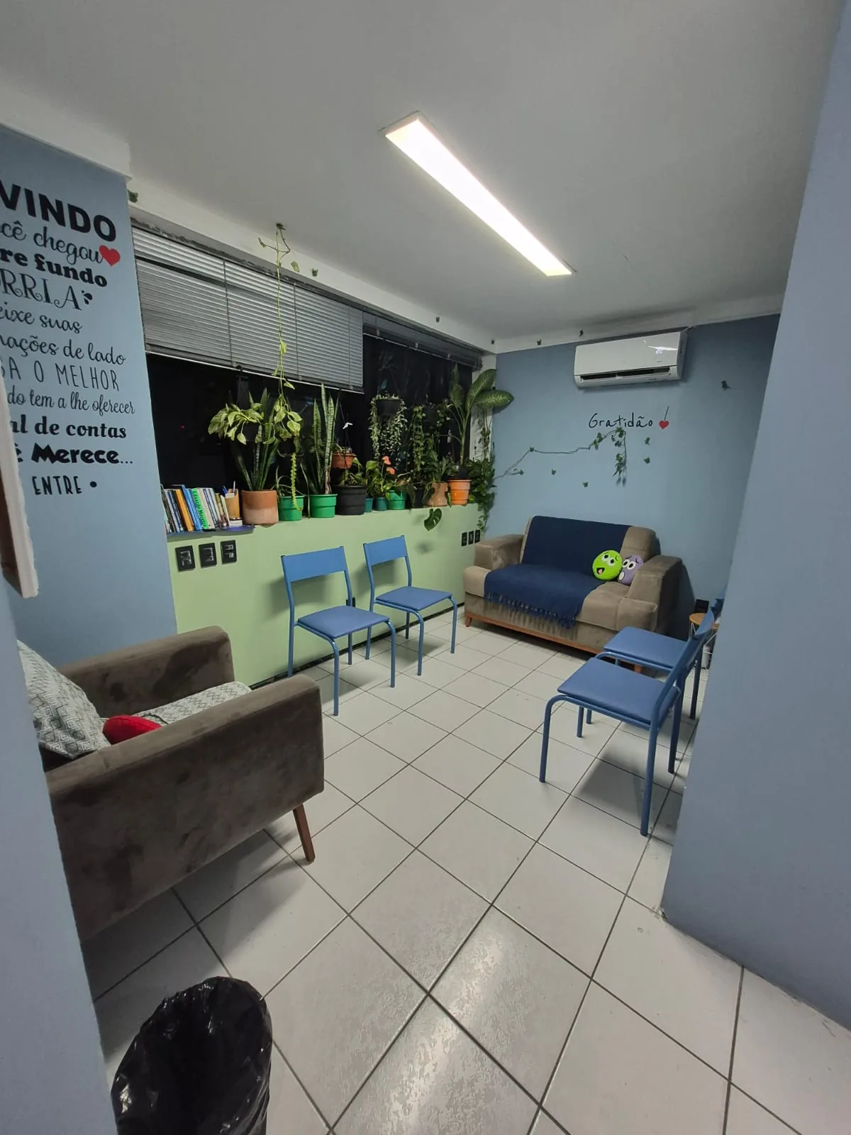 Vista ampla da sala de espera do consultório, com sofá, cadeiras azuis, livros e muitas plantas